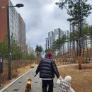 해피차일드어린이집 이미지