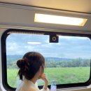 상방농장 | 코스 : 신혼부부 플리마켓과 카펠교, 빈사의사자상방문/ 분위기좋은 루체른카페 < 데스알프스호텔 >