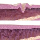 리영의원 이미지