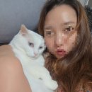 원미장 네이버블로그