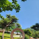 [영주][250531] 국립산림치유원 다스림 숙박 후기