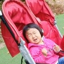 덕평공룡수목원 네이버블로그
