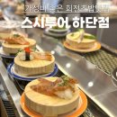 을숙도초등학교 | [스시투어 하단점]동아대 맛집 가성비 초밥 점심추천