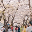 여의서로 이미지