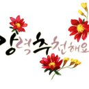 솔펫 동물병원 이미지