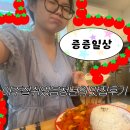샤오롱바오 | 홍대 중식당 증증일상 토마토계란볶음밥, 샤오롱바오 내돈내산 후기