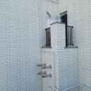 엠제이서울