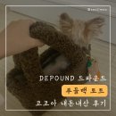 코코아 | 드파운드 푸들백 토트 코코아 내돈내산 후기