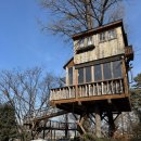 비버튼 | [평택 가볼만한 곳] 나무 위 동화 같은 숙소 '트리하우스' 비버튼 가족 여행 후기 (온수 수영장 &amp; 바베큐)