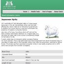 Kennel Club Japanese Spitz Standard 이미지