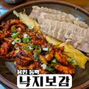 낙지보감 이미지