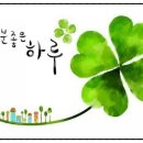 10년타기 정비센타 이미지