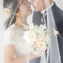 바네스헤어 이미지