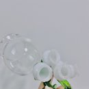 귀여운 와인잔 추천 은방울꽃 난초 와인잔 알리익스프레스 구매 후기 (feat.메가블랜드 비앙코)