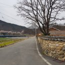 무주읍127 | 무주군 지전마을의 옛 돌담길 다녀온 후기