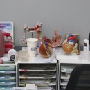 경대연합의원 이미지