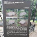 병점동 지석묘(고인돌) 이미지