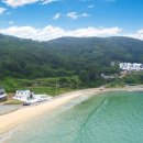 바다다음79 이미지