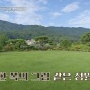 노영주헤어 - 남동구 | 노영주헤어