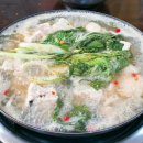 원조가오리 이미지