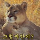 공주떡집 이미지