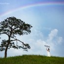 무지개언덕 이미지