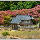 파산정(巴山亭) 이미지