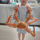 준우농장 이미지