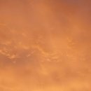 산우농장 이미지