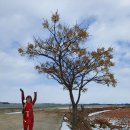 영해버스정류장 이미지