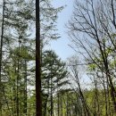 하산 농장 이미지