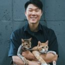 황금산 고양이 네이버블로그