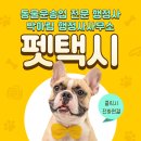 일사천리 행정사 사무소 이미지