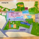 에코그린리조트 | 제주가족여행숙박 저렴한 숙소 추천 에코그린리조트 에코동 에코스위트 24평 후기