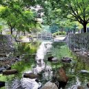 (주)쿠폰트리투어 이미지