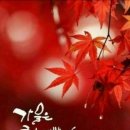 J. 브람스_ 피아노 소나타 제3번 F 단조 中 1악장 이미지