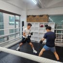 Z24 복싱&amp;크로스트레이닝에서 시작한 활기찬 운동 루틴