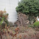 여수민속전시관 이미지