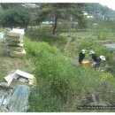 병이농장 이미지