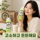맛있는 식물성 단백질 음료 추천 뉴케어 올프로틴 고소한맛 후기