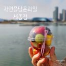 세종과일가게 자연을담은과일 세종점 세종호수공원 피크닉으로 추천하는 컵과일