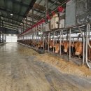 지원한우농장 이미지