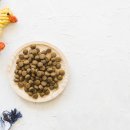 월드애견미용실 이미지