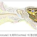 금강디지탈보청기 이미지