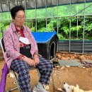 장순농장 이미지