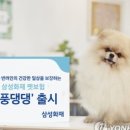 위풍댕댕 이미지