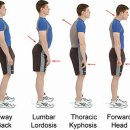 닥터화이트의원 이미지