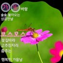 김정은 꿈 이루어지나...'비핵화' 초유의 사태 직면 / YTN 이미지