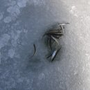 훼미리마트주차장 이미지