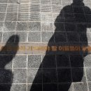 행정사법인 느티나무 이미지